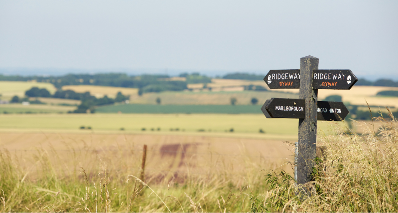 The RIdgeway WIltshire Walk